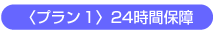 qvPr24ԕۏ